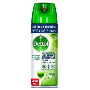 ettol Antibacterial All in One Disinfectant Spray Effective Germ Protection & Personal Hygiene, Kills 99.9% of Bacteria & Viruses, Morning Dew Fragrance, 450ml