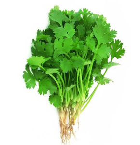 Fresh Coriander Local