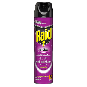 Raid-Insect Killer - 300ml Amazon's Choice