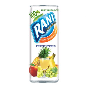 Rani Cocktail Fruit Drink 3 Jewels 240 ml